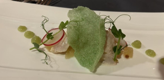 Ceviche of sea bream