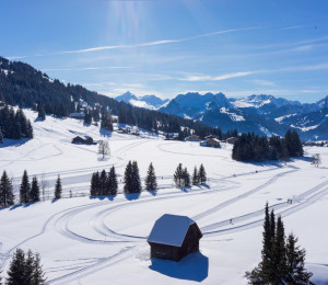 Saint-Sylvestre dans la neige 2024/25