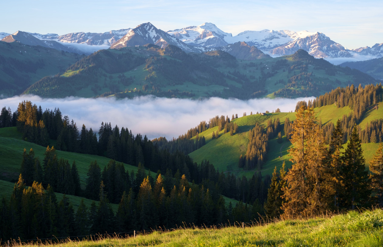 Nebelmeer Saanenland Urban Uebelhart