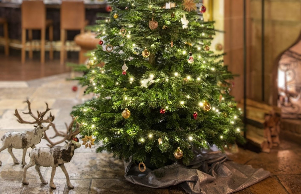 Golfhotel Weihnachtsbaum